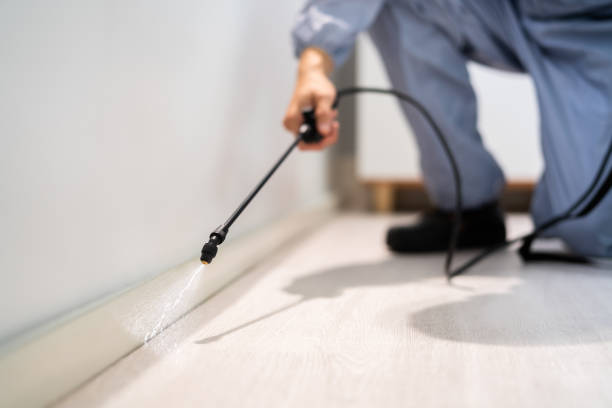 Licensed Mosquito Control service in Cortland, IL - Show Me Pest Control