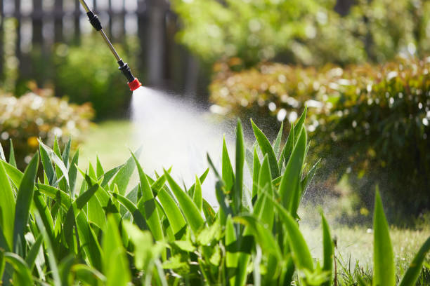 24/7 Emergency Mosquito Control experts in Cortland, IL