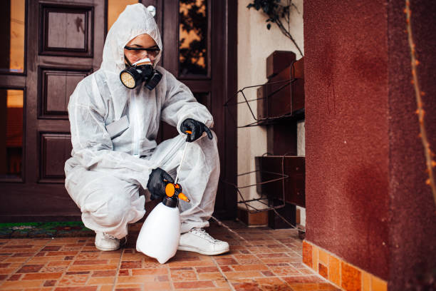 Reliable Mosquito Control contractor in Cortland, IL by Show Me Pest Control