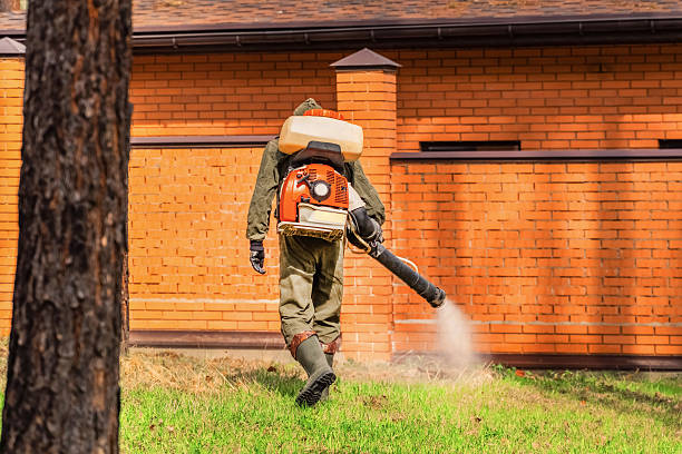 Top rated local Mosquito Control specialists in Cortland, IL